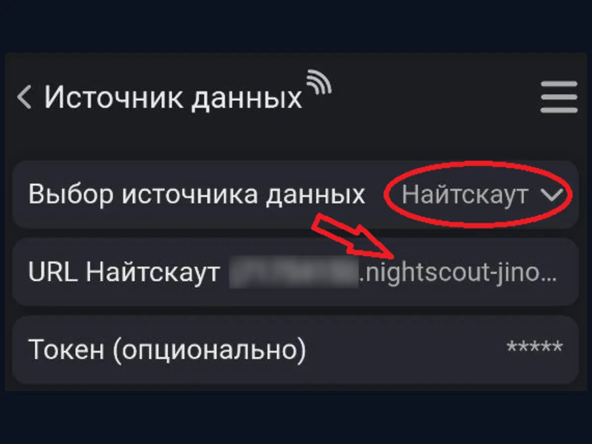 Выбор Найтскаут и ввод URL Найтскаут